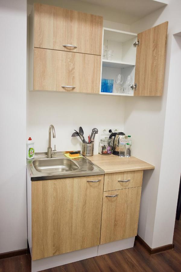 Rv Old City Apartment Velyka Vasylkivska 28,Self Check-In 24Х7 Kiev Ngoại thất bức ảnh